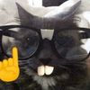 bruce12345678909