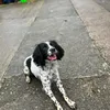 willow_storm24