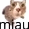 julili_protips