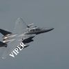 viper212121