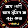 ..saleha8