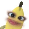 clistaandimagga13