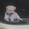 lynn_1276