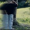 sabiyaislam424