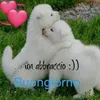 jionidistefano