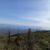 othmanmanai