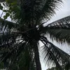 gudbjjvvjgxvbhhvnjh