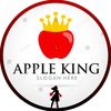 🇱🇰ᴹᴿ°᭄🍎𝘼𝒑𝒑𝒍𝒆ᵏᶤᶰᵍ࿐