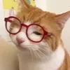 jessicatramtinh00
