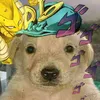 diego_doggo_the_world_au
