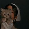 meow499067