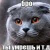 txksdx