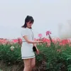 maingc347