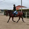 koniara._.toska
