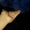 royscer23