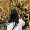 hnin_ya512