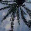 amberxheatley