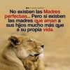 geishagonzalez79