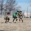 mateo_trico