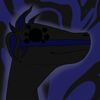 tulip_pelt_wcue_11_