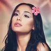 olivia_iheartcats