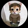 petethecat875