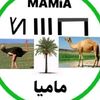 user8618533387760