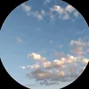 bright_little_stars