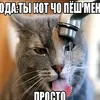 2krutoy39