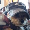 jaimewaters52