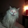 xqwma0