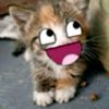 nacho_yogur