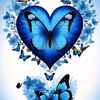 om_iyed19