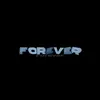 foreverchik.exe