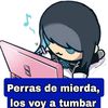 cristofersequeir966