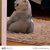 judansensual