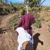 mutiaramaharani045