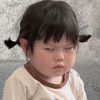 ayamgorenggipin