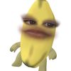 m_navarr0