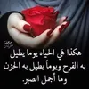 user5479321851151