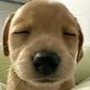 gerald_679