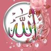 mariamabdelhamid96