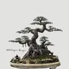 Mộc Trà Art