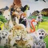 animalworld804