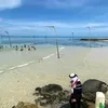 nurfaidasaidil10