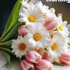 nuzhat.tabassum70