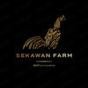sekawan_farm44