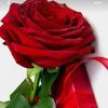 user1467260761922