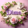 diana.dian780