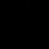 anahi_bm21
